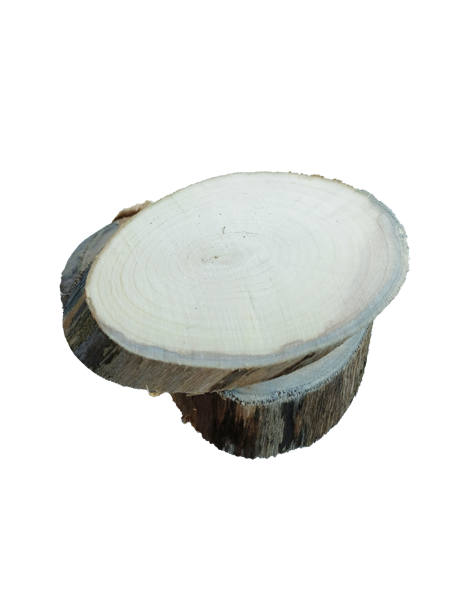 Dry wooden discs for painting and crafts