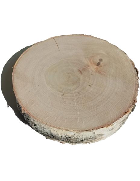 Sanded, dry wooden disc for painting 14cm/d