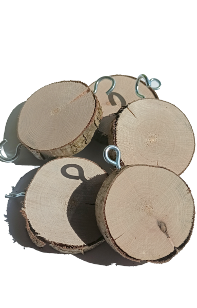 Unpolished, dry wooden discs for painting with hooks (5cm/d)